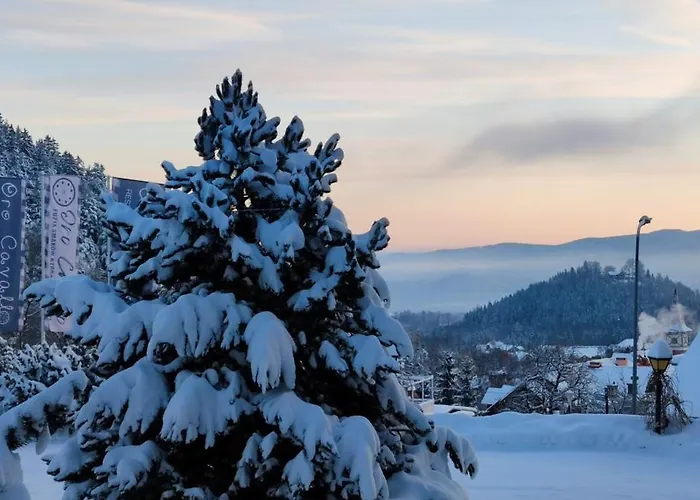 Konukevi Oro Cavallo