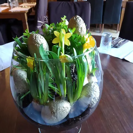 Oro Cavallo בית הארחה